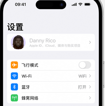 万泉镇appleID维修服务iPhone设置中Apple ID显示为灰色无法使用 