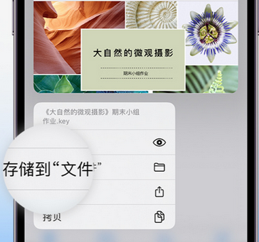 万泉镇apple维修中心分享iPhone文件应用中存储和找到下载文件