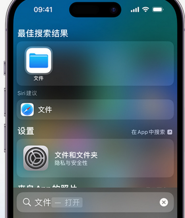 万泉镇apple维修中心分享iPhone文件应用中存储和找到下载文件