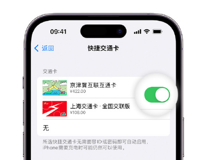 万泉镇apple维修点分享iPhone上更换Apple Pay快捷交通卡手绘卡面 