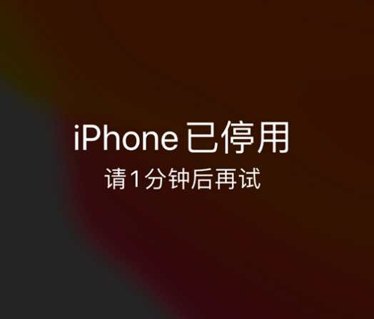 万泉镇苹果手机维修分享:iPhone 显示“不可用”或“已停用”怎么办？还能保留数据吗？ 