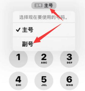 万泉镇苹果14维修店分享iPhone 14 Pro Max使用副卡打电话的方法 