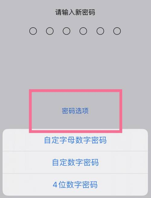 万泉镇苹果14维修分享iPhone 14plus设置密码的方法 