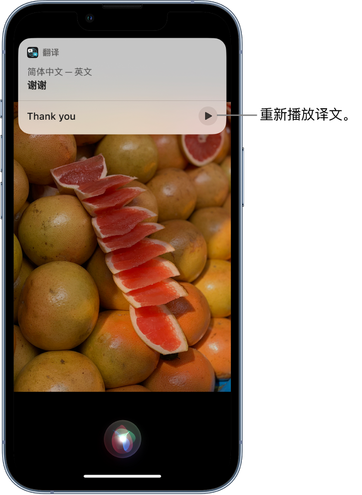 万泉镇苹果14维修分享 iPhone 14 机型中使用 Siri：了解 Siri 能帮你做什么 