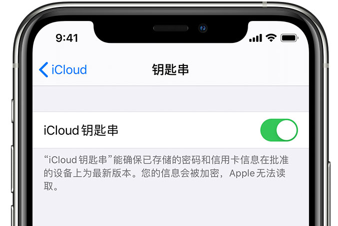 万泉镇苹果手机维修分享在 iPhone 上开启 iCloud 钥匙串之后会储存哪些信息 